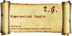 Kapronczai Gyula névjegykártya