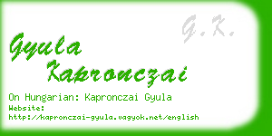 gyula kapronczai business card